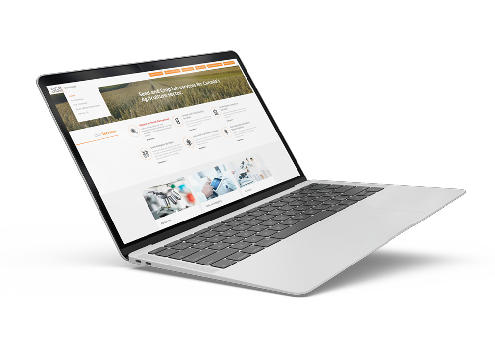 Web Design and Online Lead Generation web design and online lead generation